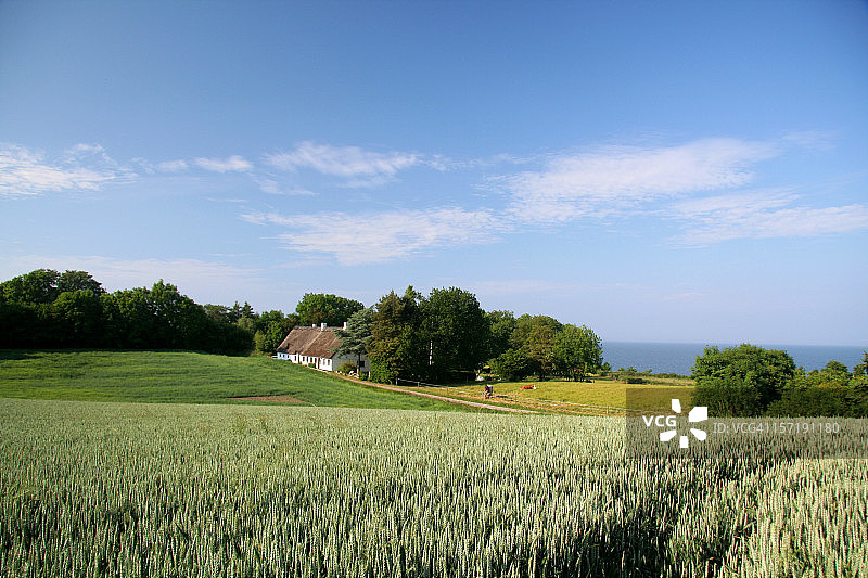 丹麦南日德兰的美丽农田、老房子和大海图片素材