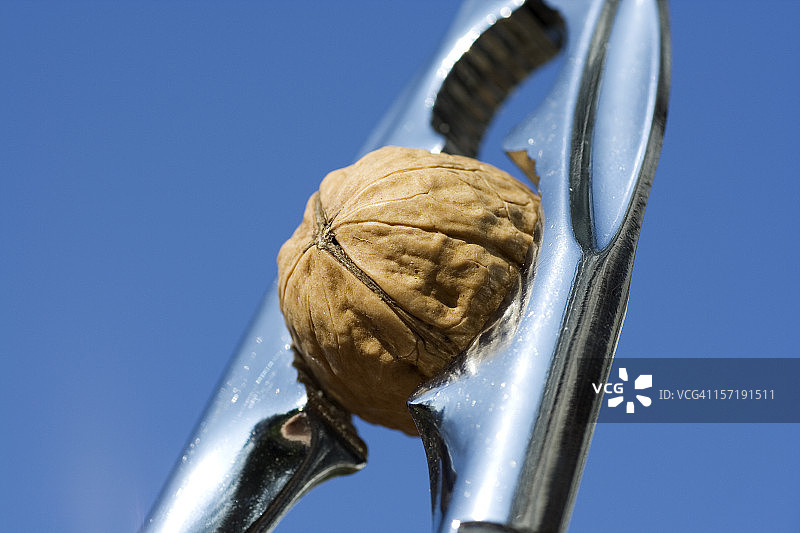 胡桃夹子图片素材