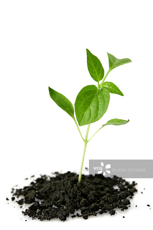 新生活图片素材