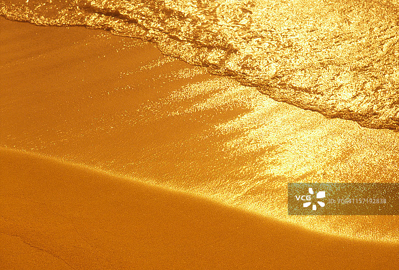 金色海滩图片素材