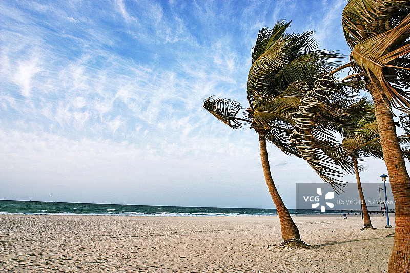 美丽的朱美拉海滩，迪拜图片素材