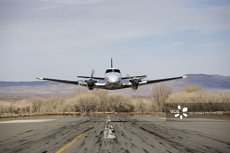 山毛榉系列 99 # 3图片素材