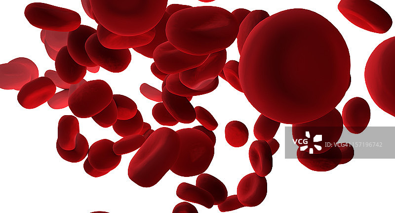 红细胞图片素材