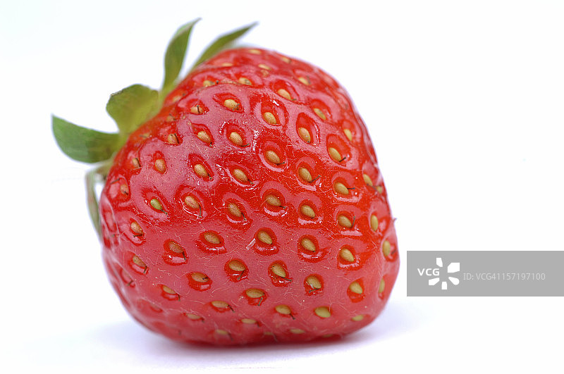 独立草莓图片素材