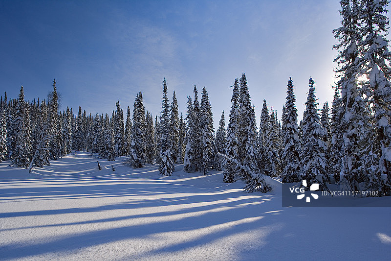 冬季主题12图片素材