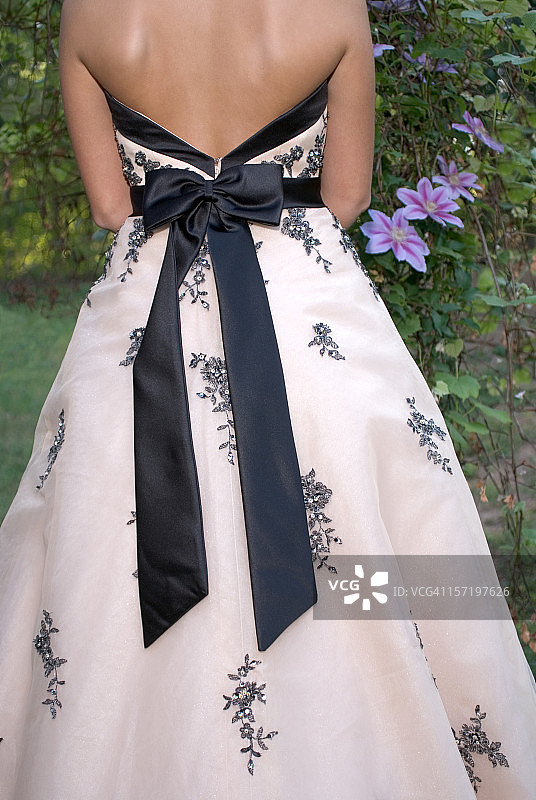 露背舞会礼服V图片素材