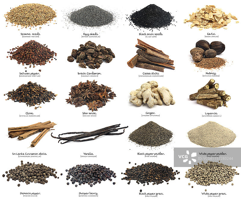 二十种香料。XXXL。第二部分。图片素材