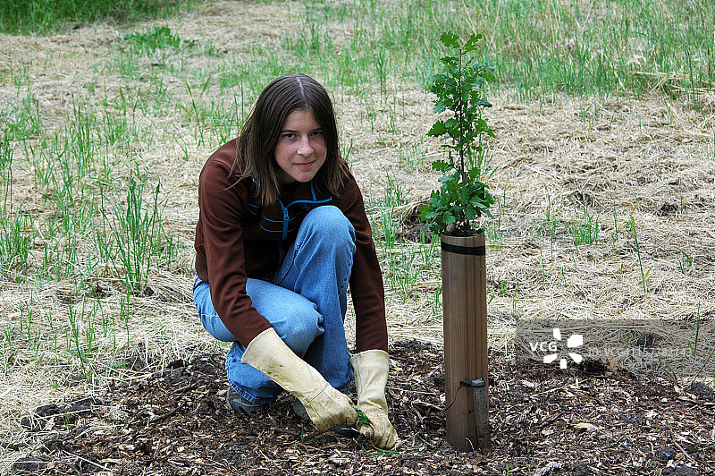 一个青少年正在外面给橡树除草图片素材