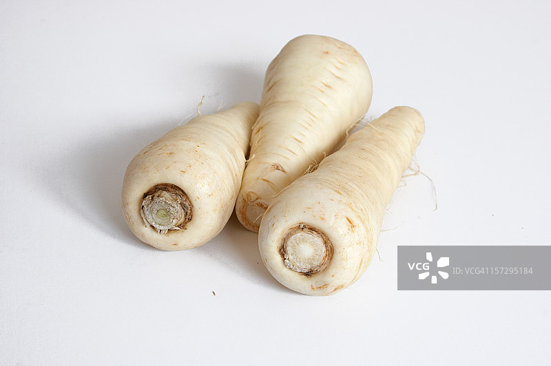 生欧洲防风草图片素材