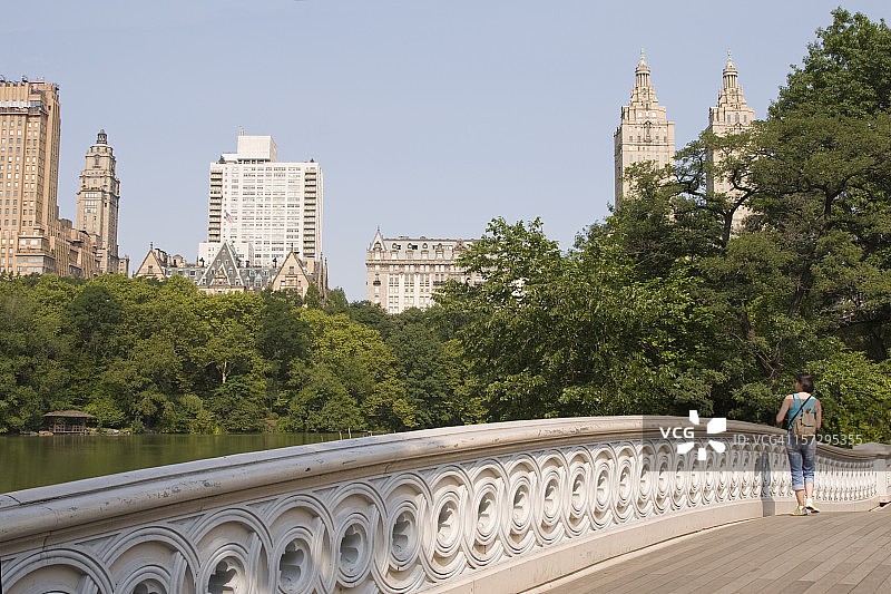 纽约中央公园弓桥图片素材