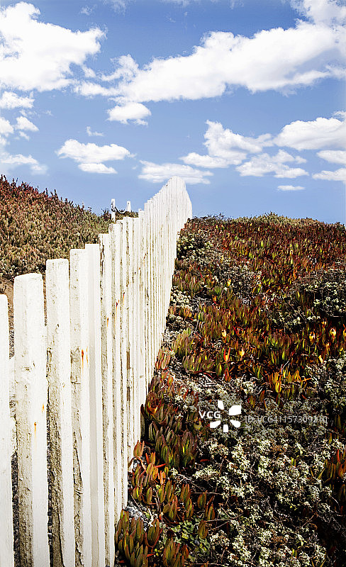 白色尖桩篱栅图片素材