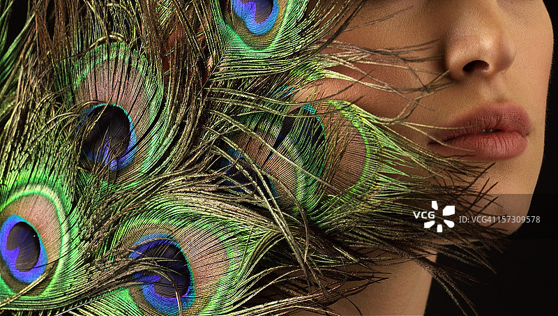 孔雀羽毛图片素材