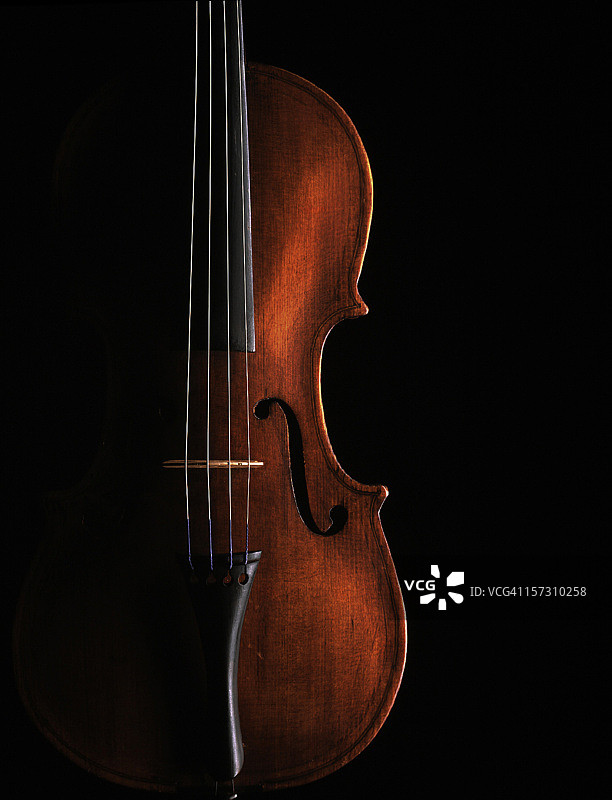 黑色背景上的小提琴图片素材