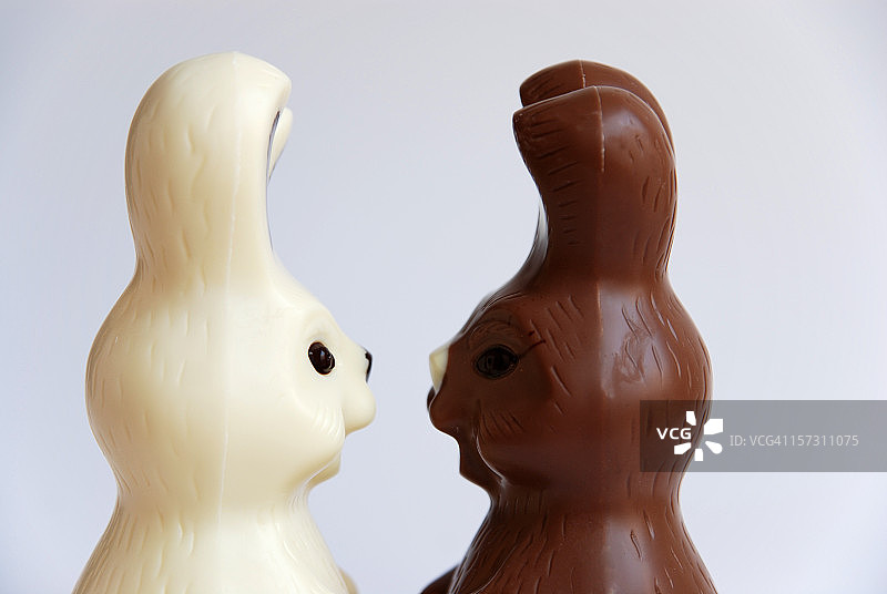 黑白复活节兔子侧视图图片素材