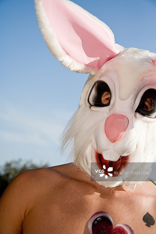 可爱的兔子图片素材