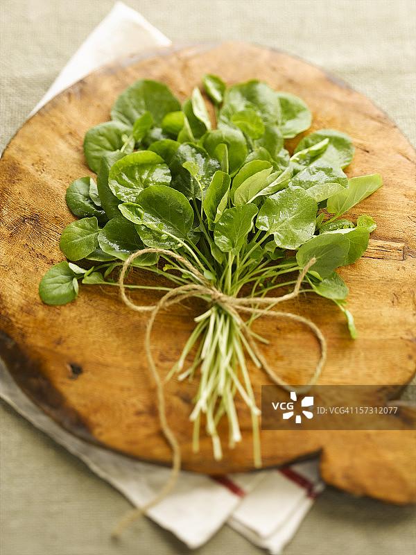 花园里的豆瓣菜图片素材