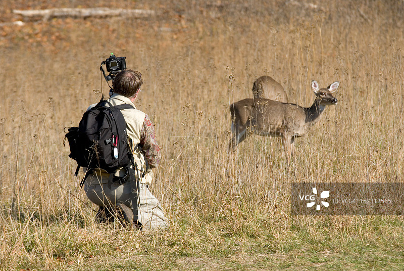 鹿与摄影师图片素材