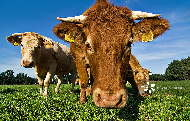 你好，女孩和男孩图片素材