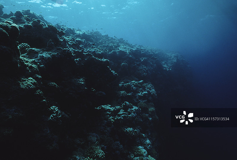 死亡的礁石图片素材