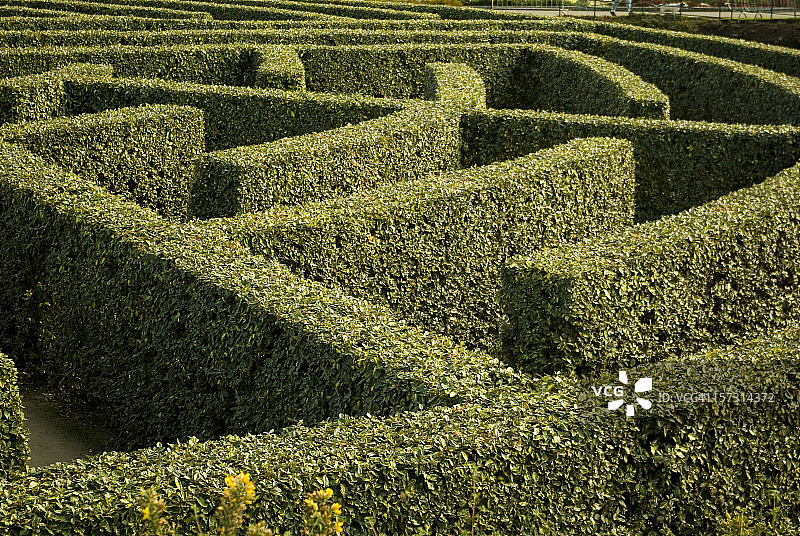 失去了图片素材