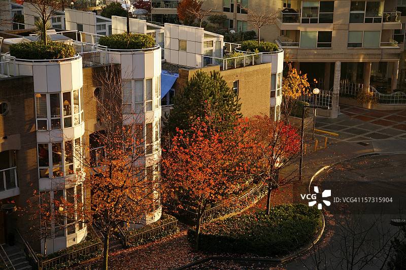 黄昏光线下秋色中的公寓图片素材