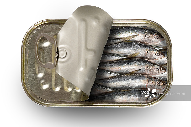 罐装沙丁鱼图片素材
