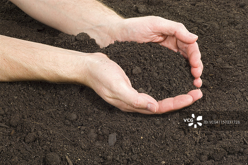 花园里的手图片素材