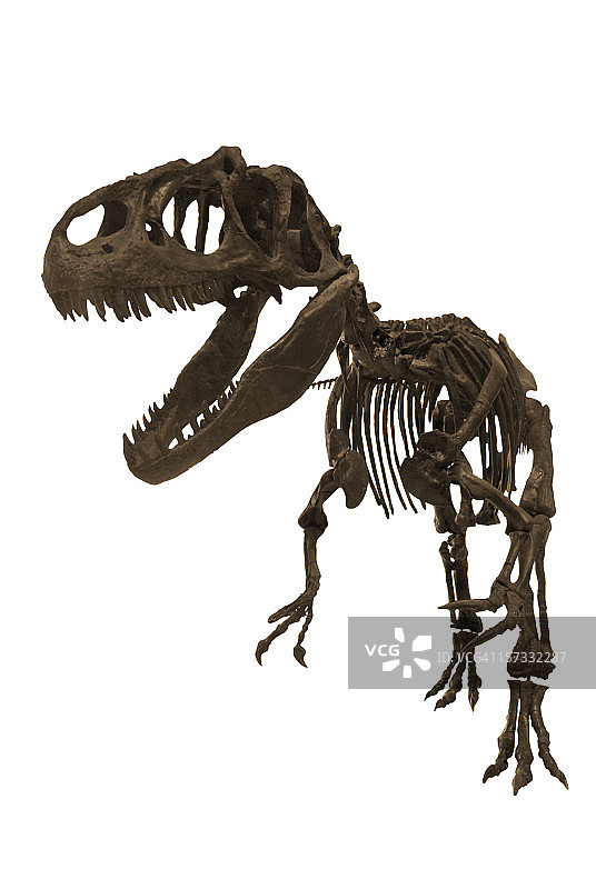 异特龙图片素材