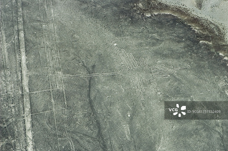 蜂鸟和线条地画，秘鲁纳斯卡线条图片素材