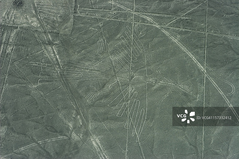秘鲁纳斯卡巨型秃鹰地画图片素材