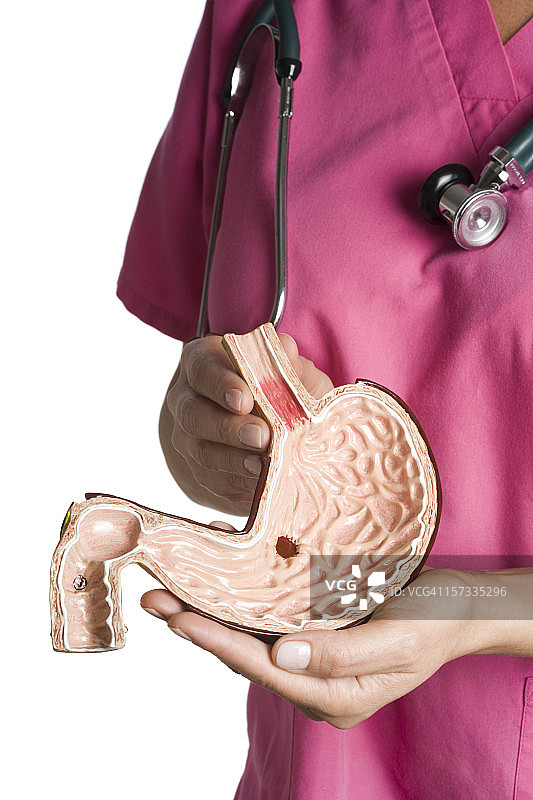 有溃疡的胃图片素材