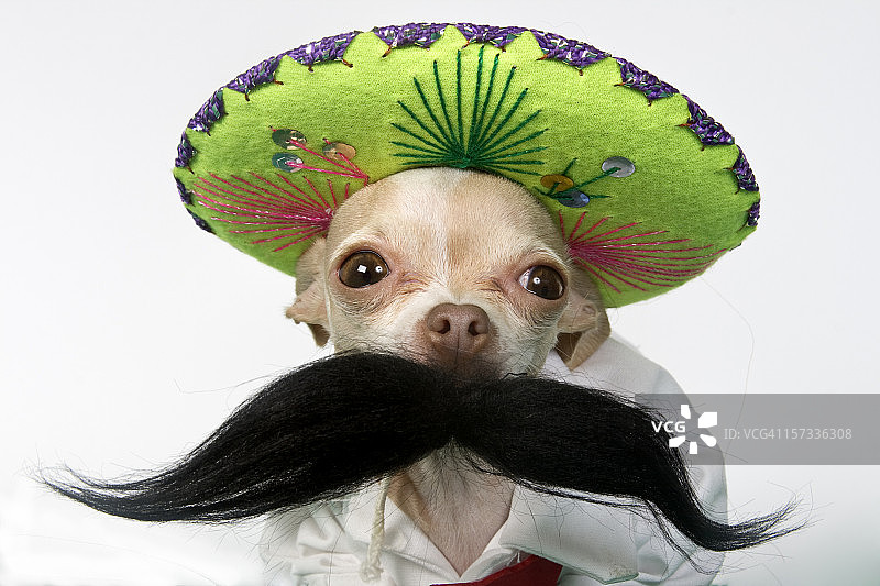 俗气的图片素材