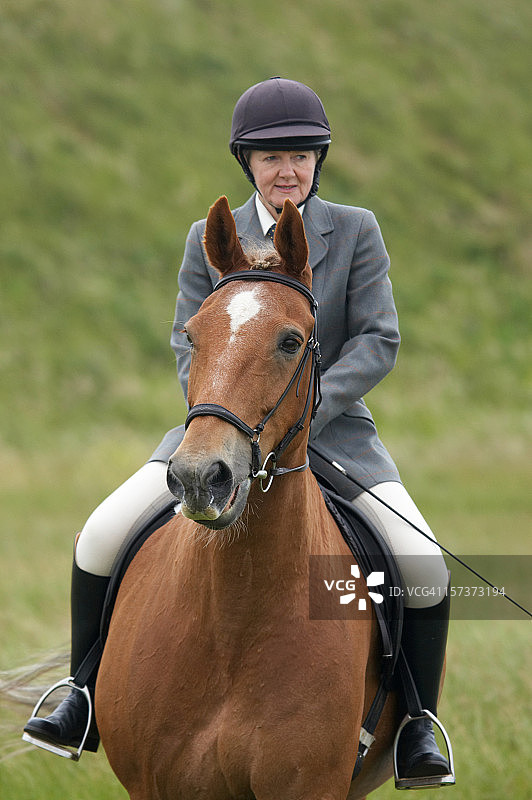 盛装舞步比赛中的马和女骑手图片素材