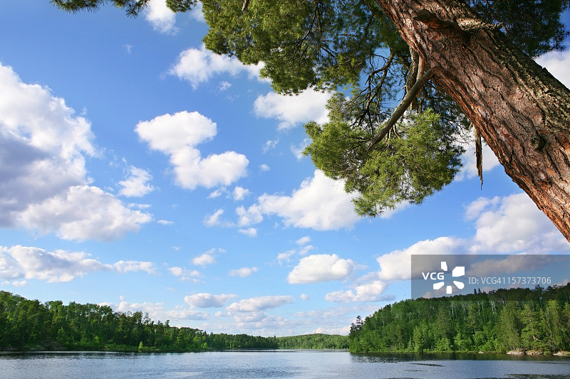 荒野湖泊上美丽的夏日图片素材
