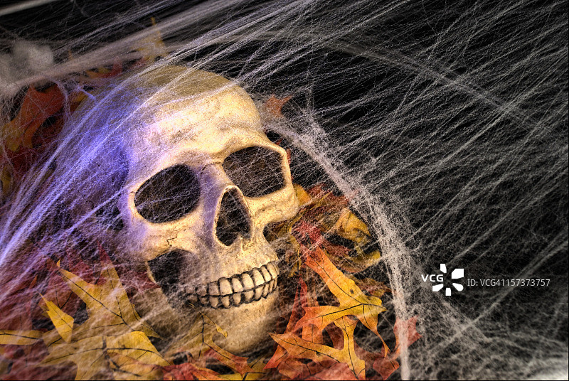 无头骑士的头黑白照图片素材