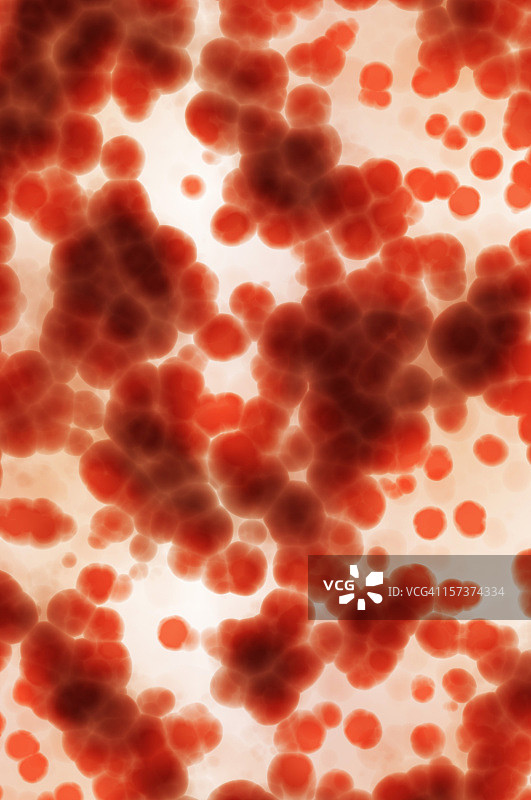 红色圆形细胞图片素材