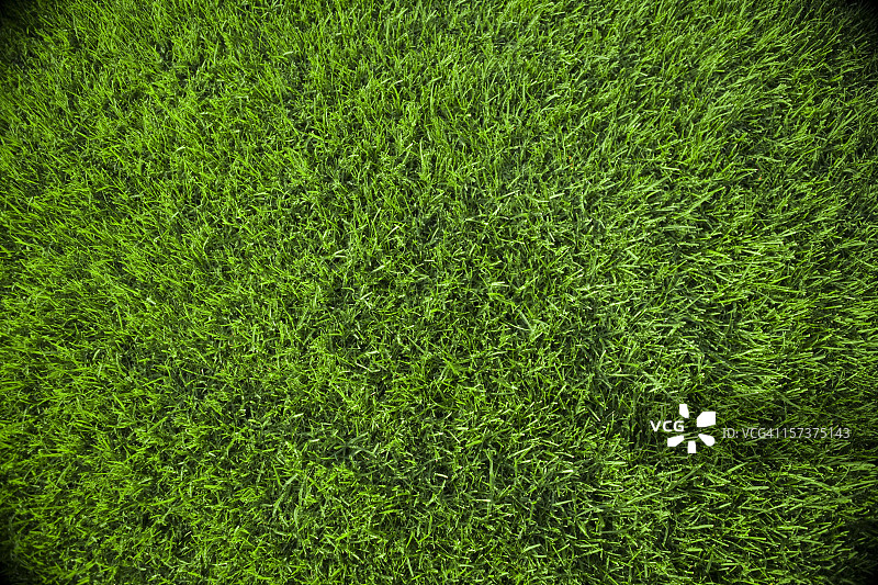 草地的背景图片素材