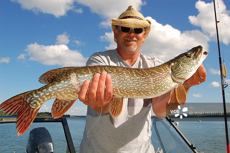 渔夫与北方梭子鱼图片素材