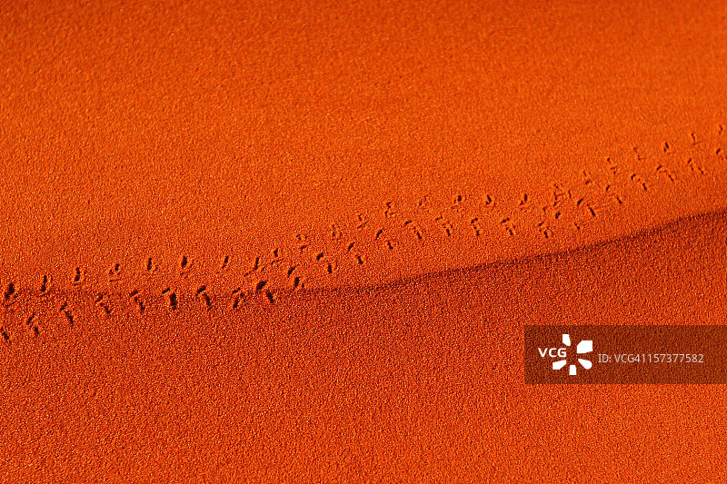 沙漠沙滩上的脚印图片素材