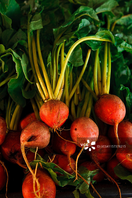 金色甜菜根图片素材