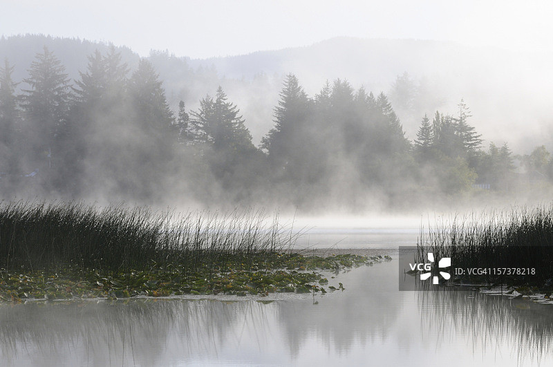 萨顿湖的雾蒙蒙的早晨图片素材
