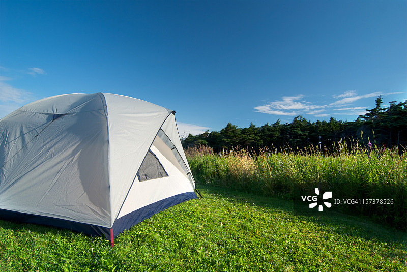 夏令营期间森林里的帐篷图片素材