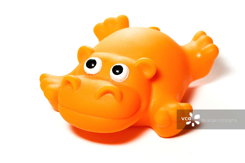 橡胶河马图片素材