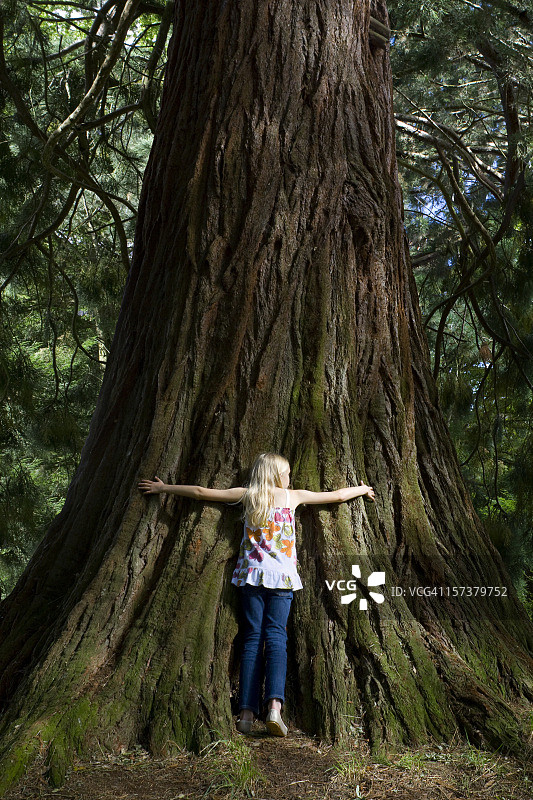 女孩拥抱树木2图片素材