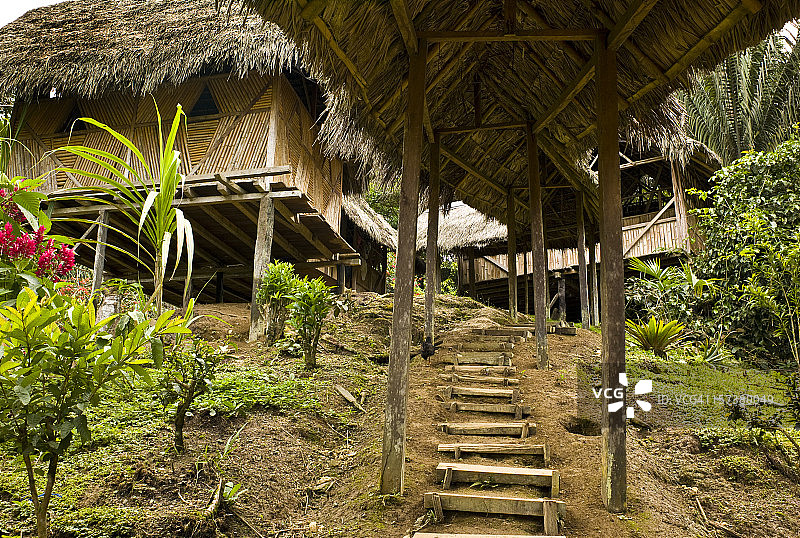 丛林小屋图片素材