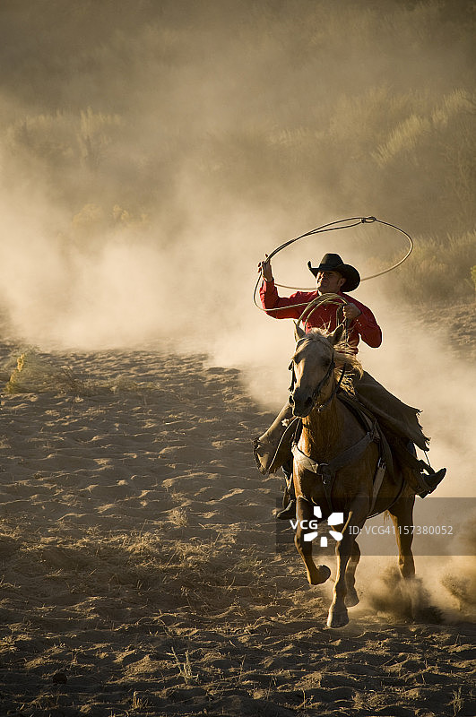 套索牛仔骑马扬起尘土特写图片素材