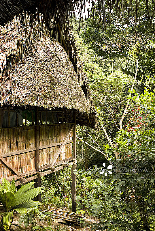 丛林小屋图片素材