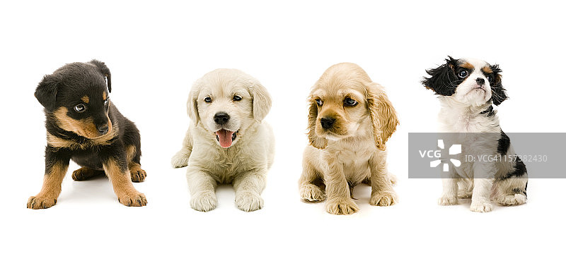 四个伙伴图片素材