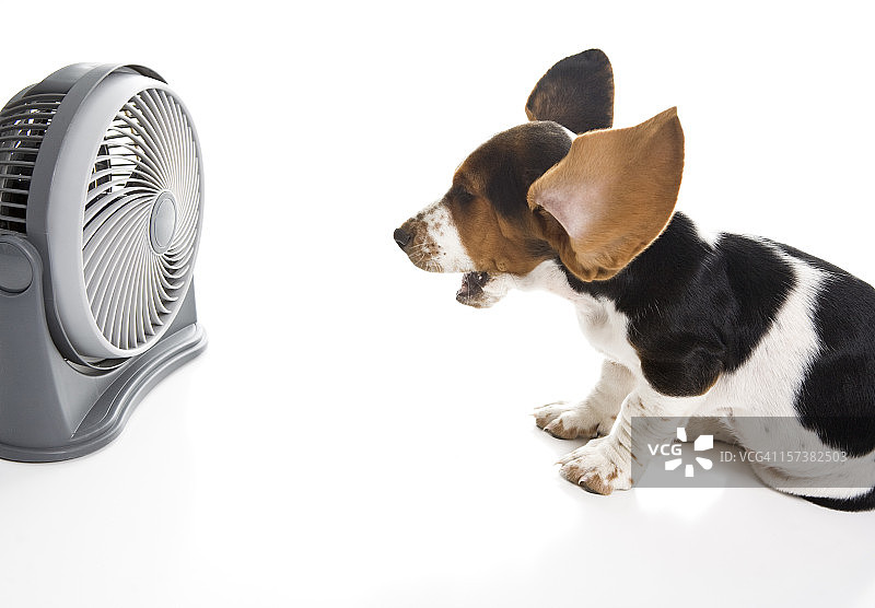 哇！真酷！图片素材