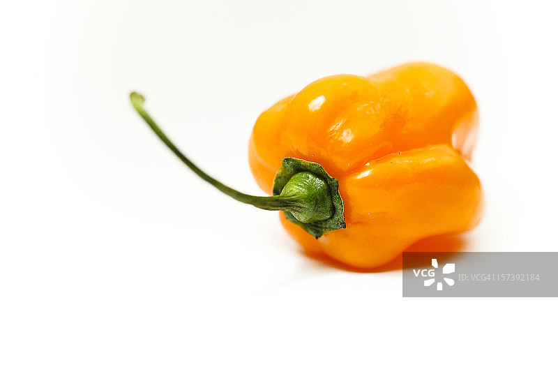 苏格兰帽辣椒图片素材